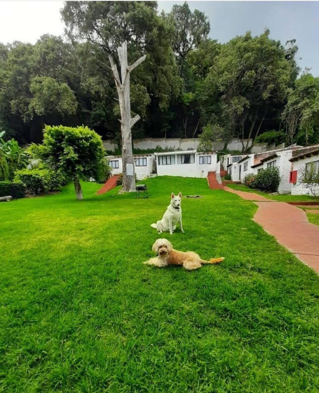 Club Santa Maria Hotel Cuernavaca Luaran gambar